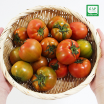 당도보장 대저 짭짤이 토마토 2.5kg, 로얄과 2.5kg M