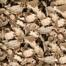 국내산 천궁 600g dk 한방재료 건강차 한방 약초