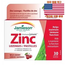 자미에슨 징크 아연 와일드 체리맛 30정 영양제 자메이슨 Jamieson Zinc 미국 직구 사은품 추가증정