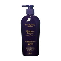 황칠가 마이크로바이옴 샴푸 400ml 중건성용, 1개