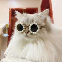 반려동물 안경 고양이 선글라스 강아지 선글라스 진주 작은 안경 사진 소품 큐트, S, 블랙