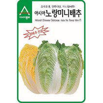 [조이가든] 아시아노랑미니배추 씨앗 - 1 000립 (쌈배추 전용)