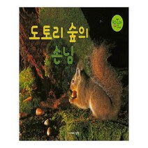 유니오니아시아 도토리 숲의 손님 도토리