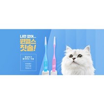 원헬스 고양이전용 초소형 칫솔 치약 입냄새 치주염 치아관리, 반려동물 칫솔(극소형)