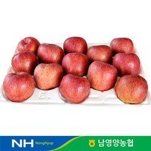 경북 영양농협 사과 꿀부사 정상품 5kg 12-14과, 단품
