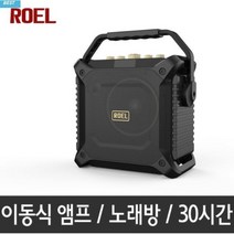 버스킹 DJ 300W 블루투스 무선 스피커 마이크 노래방 앰프 카페 매장 업소 용 로엘