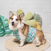 골든독 쿨바대+아이스팩SET 쿨조끼 프렌치불독 웰시코기 퍼그 아메리칸불리 중형견 대형견 착용가능 옷, 빅수박