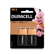 듀라셀 알카라인 건전지 9V, 2개입, 3개
