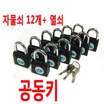 공동키/12 쌍둥이 자물쇠/마스터키/pc방/학교/컴퓨터/메모리 분실방지/자물쇠12개+열쇠