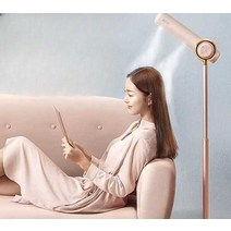 차이슨드라이기 수직 헤어 드라이어 집 기숙사, 민트그린