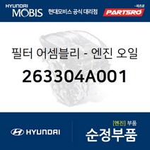 엔진 오일 필터 (263304A001)-현대모비스 부품 공식대리점 온라인쇼핑몰 파츠로 그랜드 스타렉스 쏠라티