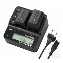 소니 정품 SONY AC-VQV10 2구 급속충전기 캠코더 배터리 충전기 /빅보스