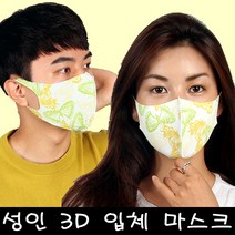 블랙마스크 3D입체 마스크 성인용 나비 빨아쓰는마스크 자체제작 프린트마스크, 1개