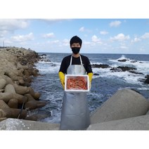 김프로 [산지직송 100%] 품질보장 연지홍게/박달홍게, [산지직송 100%] 자숙 연지홍게 고급형 12마리