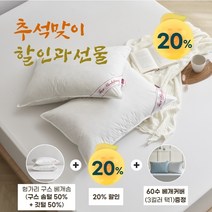 [KT알파쇼핑]프라우덴 헝가리산 구스 베개솜(솜털50%)+60수 베개커버선물 - 800g, 핑크