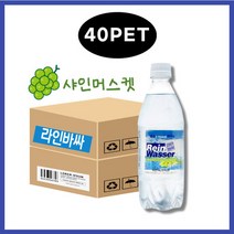 동아오츠카 라인바싸 탄산수 샤인머스켓 500ml 40pet, 상세페이지 참조, 상세페이지 참조