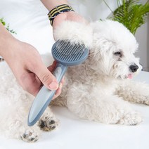 강아지 빗 고양이 미용 그루밍 마사지 스마트 브러쉬, 그레이