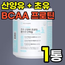 산양유단백질 분말 초유 파우더 가루 식물성 고단백 해썹인증 프리미엄 헬스 락토바실러스 유산균 40대 회사원 부모님 필수아미노산 네덜란드 동물성 식약처 홈쇼핑