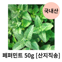 국내산 페퍼민트 10g 50g 100g 500g 1kg 산지직송 페퍼민트생잎 페퍼민트잎 페퍼민트허브차 페퍼민트잎차 허브잎 허브생잎 박하 민트티 모히또 모히토 칵테일재료 식용 장식용