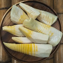 마켓오소 2023년 거제 햇죽순 국내산 맹종죽순 산지직송 삶은죽순 500g 1kg, 1개
