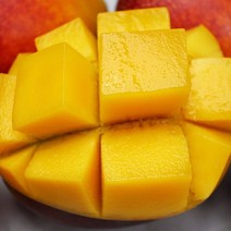 산지직송 당도가득 풍부한 달콤한 제주 애플망고 대과2kg, 단품
