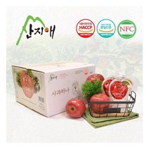 산지애사과즙 30팩