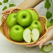 새콤아삭 여름 햇사과 썸머킹 아오리 풋사과 청사과 초록사과, 5kg 중과 (17-22과), 가정용 아오리사과, 1개