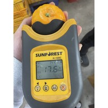 탐라인 신품종 고당도 설국향 수라향 가정용 3kg, 1box