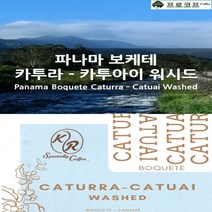 (커피생두) 파나마 보케테 카투라-카투아이 워시드, 250g, 1개
