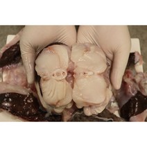 손질 생물 아귀 생아귀 아구 1kg