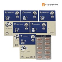 대웅생명과학 탐나는 철분 650mg, 30정x6개 (6개월분)