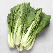 이재창님 충남 부여 아삭 신선한 얼갈이 배추 여린 열무 4kg, 1박스, 얼갈이 배추 4kg
