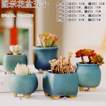 다육화분 다육이 심폴 화분 식물 미니 화분세트, 도자기, 옵션2