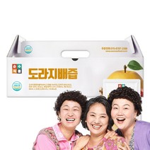 순수식품 도라지배즙, 80ml, 25개