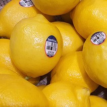 팬시 레몬 중과 수입 미국 칠레 생 수제청 에이드 워터 레몬청 레몬즙 만들기 생과, 팬시레몬5kg/중과/40-45과내외/120g