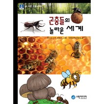 곤충들의 놀라운 세계, 스완미디어