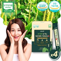 식약처인증 차전자피 분말 식이섬유 1일 1포 배변활동에 도움 차전차피 가루 차전자 씨앗 수용성 섬유소 변비움 직빵 섬유질 장 장청소 장운동 psyllium 임산부 부모님 노인, 4박스 120포(4개월분)