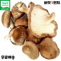 무농약표고버섯건표고버섯  온라인 구매