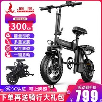 하이브리드자전거 피닉스 전기 자전거 운전 접이식 성인 테이크 아웃 리튬 배터리 소형 경량 전원 배터리 휴대용, 48V, 10아, 표준 에너지 회수 100km배터리 10a튜브리스