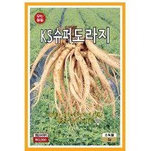 씨앗 KS 슈퍼도라지 500g