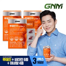 GNM 루테인11 / 비타민 6종 + 미네랄 4종 눈건강 비타민B 아연 엽산, 15g, 3개, 1개, 30정