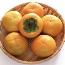 경남 창원 진영 단감 5kg 10kg 소과 중과 대과, 5kg M(24-27개)