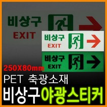 리플렉스 비상구 사각 PET 축광스티커(250x80mm) 야광스티커 지하실 지하상가 유광코팅 뛰어난 점착력, 화살표우