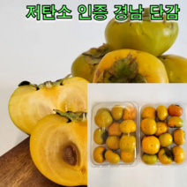 저탄소 인증 경남 단감 2.5kg 5kg 산청 진주 창원 단감 조생종 만생종 아삭한식감, 저탄소 단감 대 5kg
