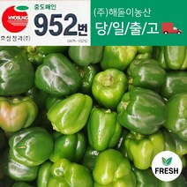 <해돋이농산> 국내산 못난이피망 초록피망 청피망 1kg 3kg 5kg 10kg 알이작습니다.” class=”wr-img”></a></div></p></div></p></div></p></div><div class=