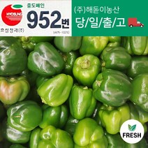 청피망3 인기 상품 중에서 필수 아이템을 찾아보세요