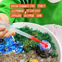 초등 유아 미술 키트 공룡 화산폭발놀이 실험 스몰월드 만들기 [플랜에이캠퍼스]