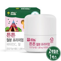 아기철분제 유아 키즈 어린이 아동 초등학생 청소년 영유아 철분제 비타민C 맛있는 씹어먹는 철분 헴철, 어린이철분제(2개월분), 1박스