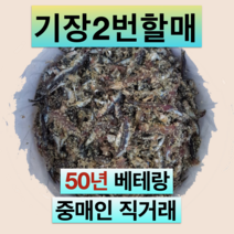 기장 생멸치 소금간 15kg 30kg - 통 멸치젓 부산 대변항 액젓 김장, 22년 1월 멸치 15kg