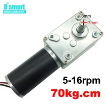 Bringmart DC 24v A58SW31ZY 12v 웜 기어드 모터 1.6-70kg.cm 높은 토크 7-470rpm D 샤프트 전기 감속기 터, 12 24v 12rpm_05 Package P